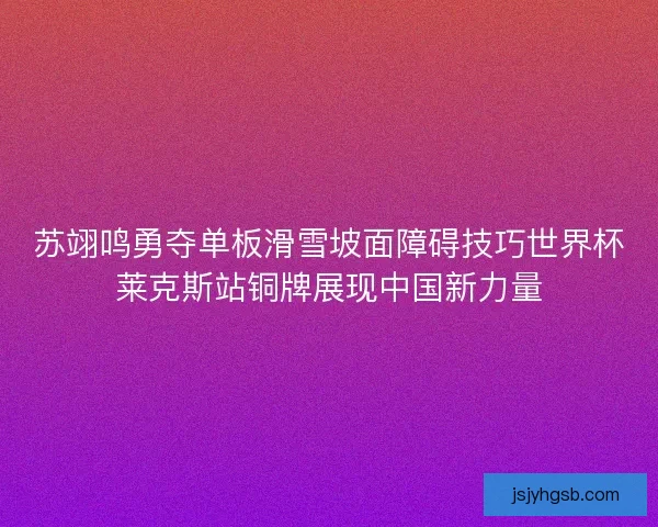 苏翊鸣勇夺单板滑雪坡面障碍技巧世界杯莱克斯站铜牌展现中国新力量